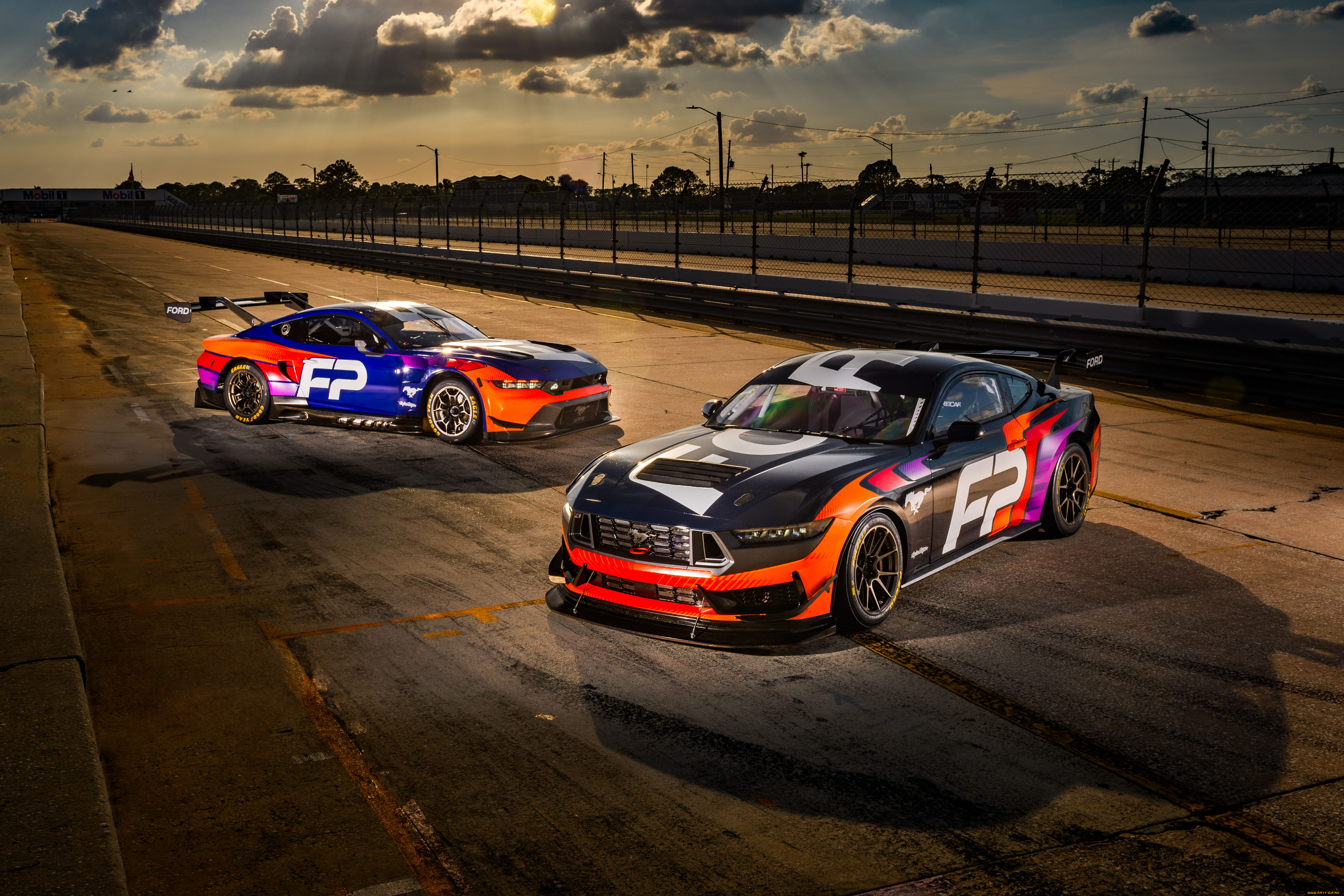 , mustang